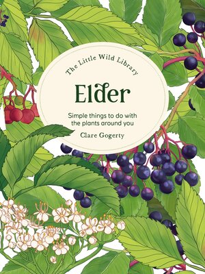cover image of The Little Wild Library